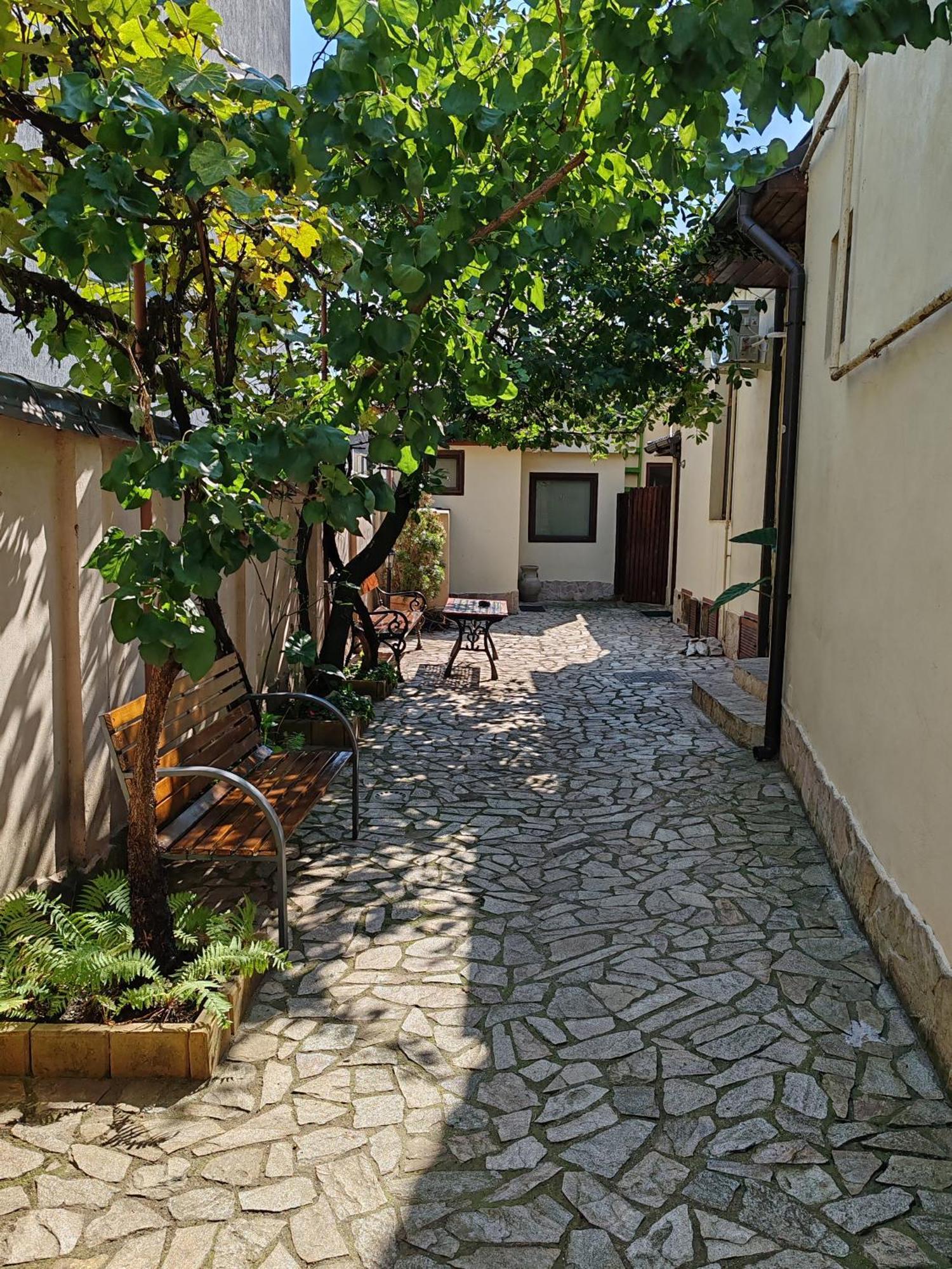 Hotel Arthouse Lucrezia Timisoara Exterior foto
